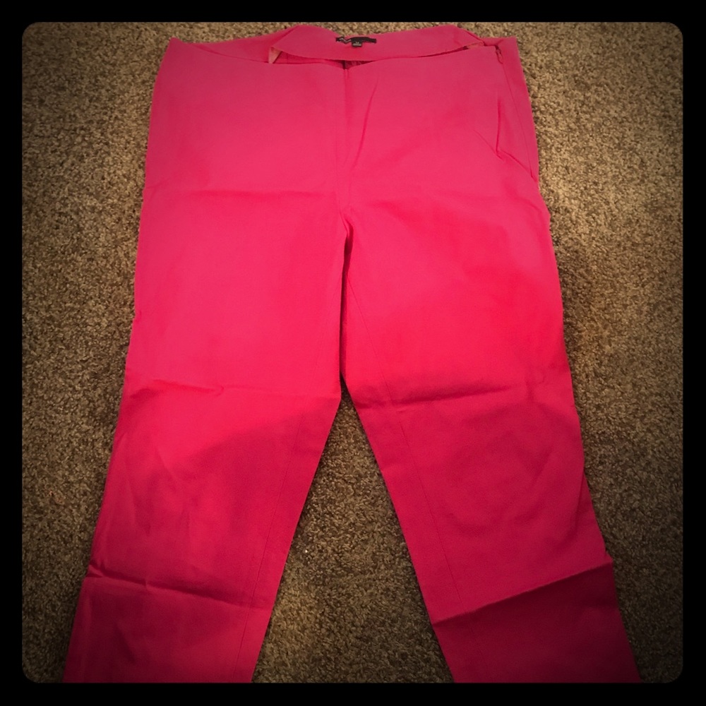 Fuschia Chaus dress pant